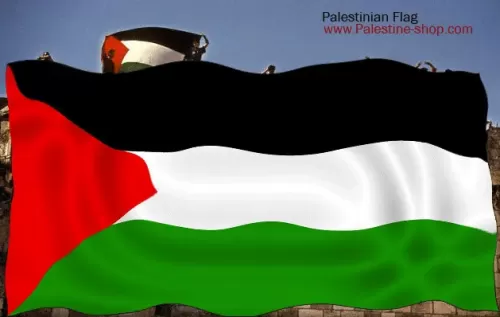 Palestine flag